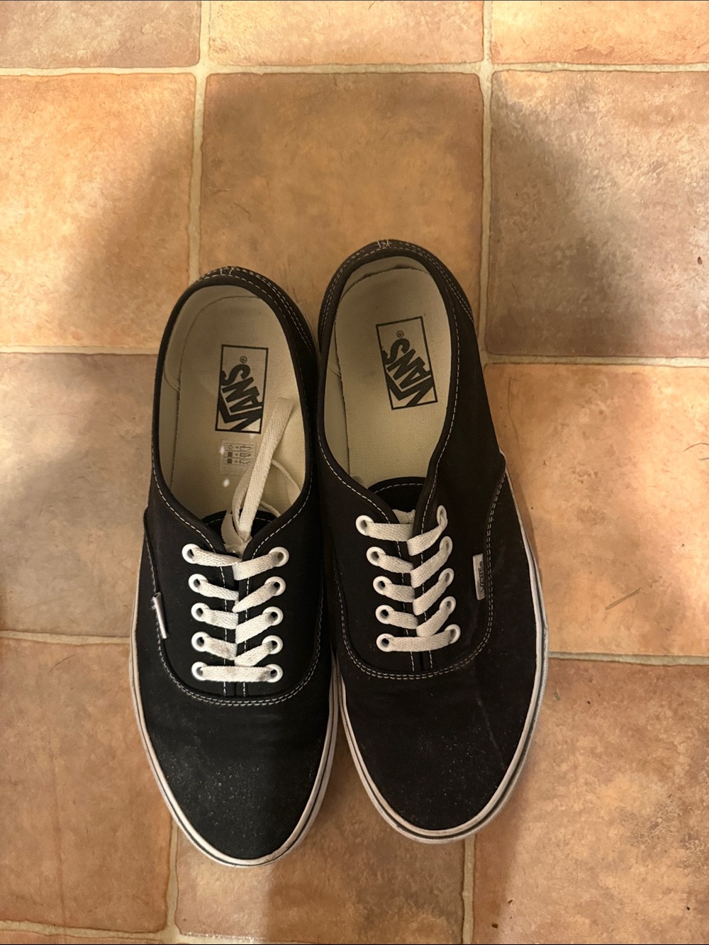 Vans Classic Low-Top Black Canvas Sneakers with White Laces